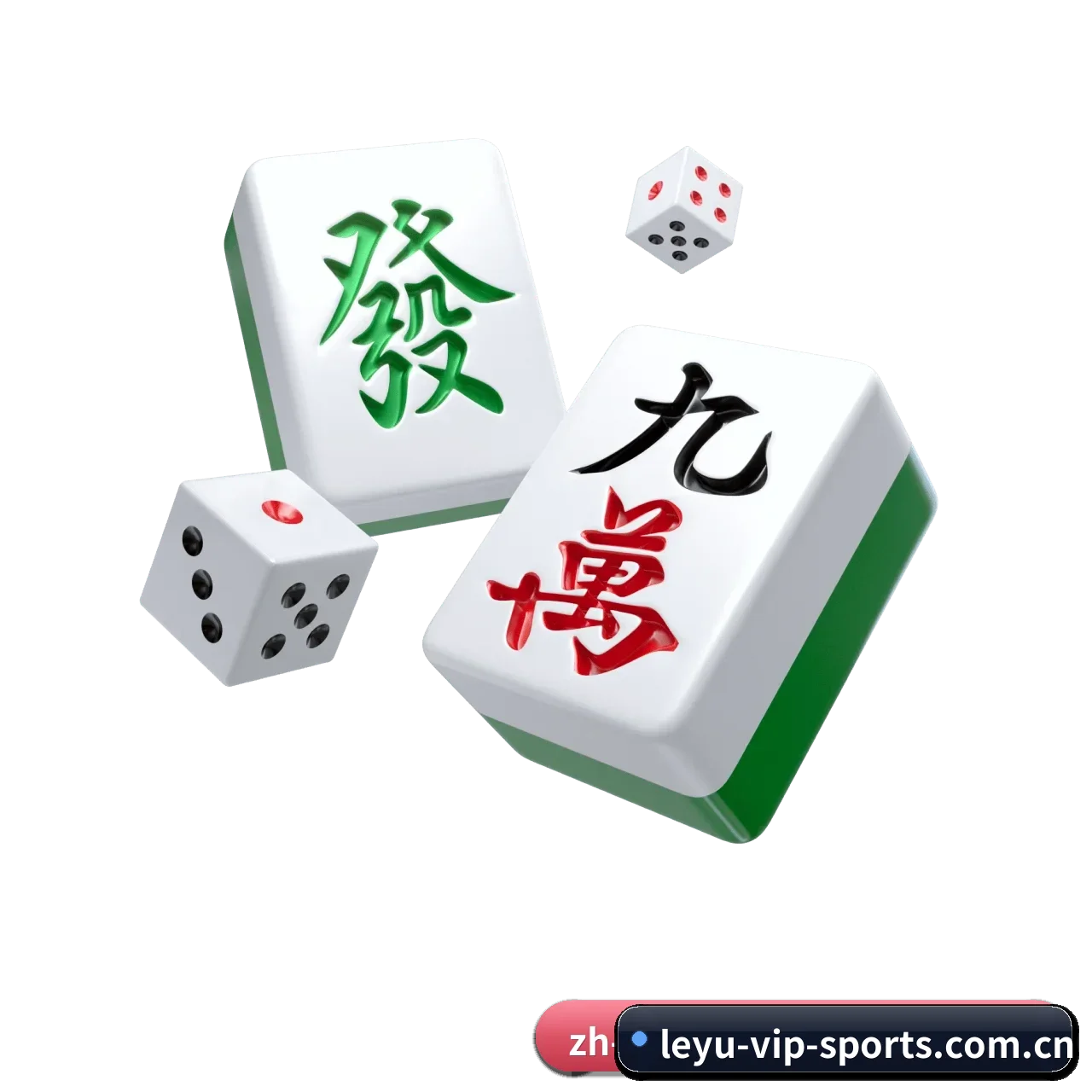 全流程赛事陪伴, 观赛有据可依